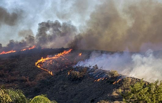 Wet Winter Helping to Rein in California Wildfire Activity