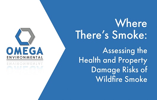 The Effect of Wildfire Smoke on Human Health and Property: A Whitepaper