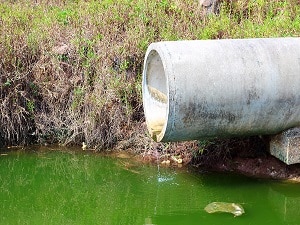 How to Handle Sewage Decontamination – Quickly!