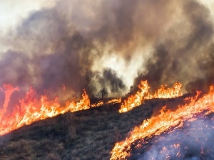 Smoke and Fire Expertise Puts Omega Scientist in the Thick of California Wildfire Season