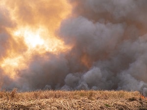 Protecting Workers Exposed to Wildfire Smoke