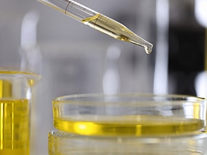 Chemical Risk Assessment