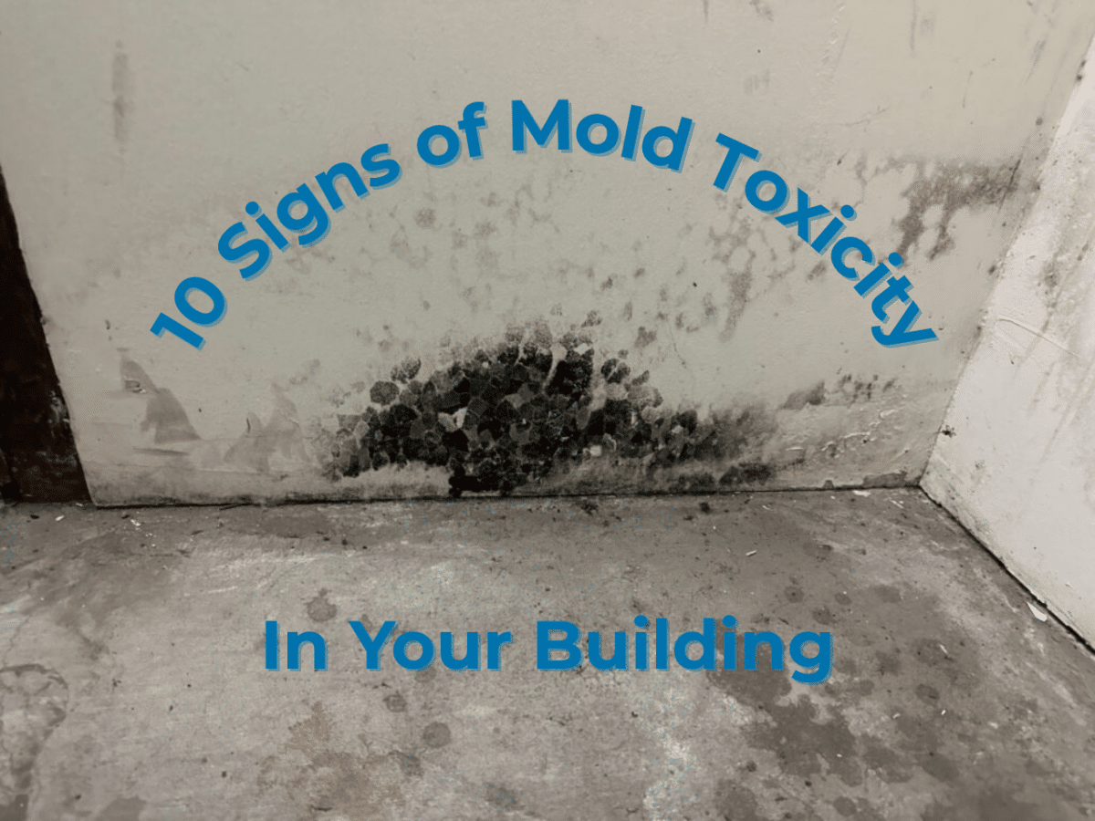 Recognizing the 10 Warning Signs of Mold Toxicity in Your Building
